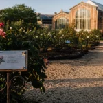 Jardin des plantes Orléans : roseraie et serres climatiques