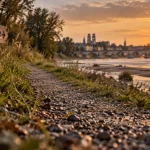 Balade bord de Loire Orléans : chemin au ras du sol au golden hour
